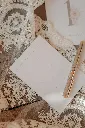 carte-etapes-bebe.webp