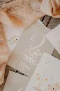 carte-etapes-bebe.webp