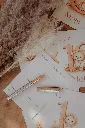 carte-etapes-bebe-lion