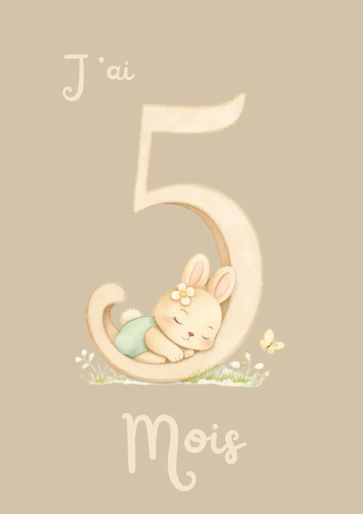 carte-etape-bebe-lapin.webp