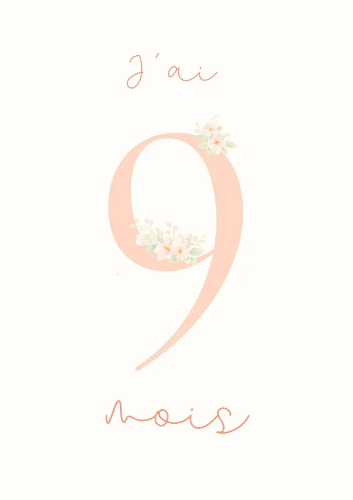carte-etapes-bebe.webp